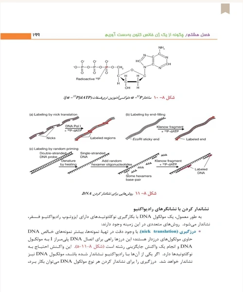 مقدمه ای بر کلون سازی ژن ها و انالیز DNA - نمونه سوم - جزیره کتاب های الکترونیکی